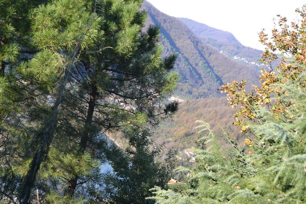 Toscana Nord Ovest - Tra La Costa Apartments Albiano Magra Dış mekan fotoğraf